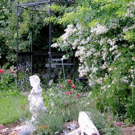 Wildfeuer By Interhome Διαμέρισμα Kirchdorf im Wald