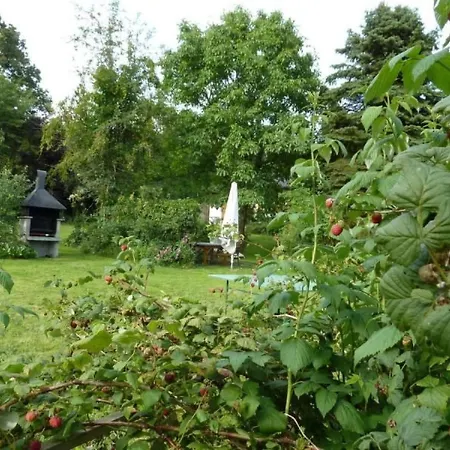 Wildfeuer By Interhome Kirchdorf im Wald