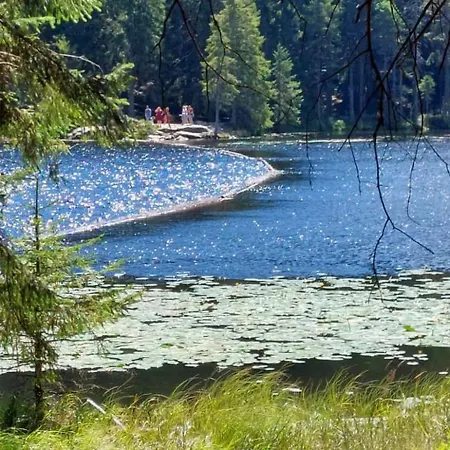 Wildfeuer By Interhome Διαμέρισμα Kirchdorf im Wald