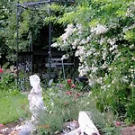 Wildfeuer By Interhome Daire Kirchdorf im Wald