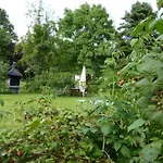 Wildfeuer By Interhome Kirchdorf im Wald