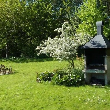 Wildfeuer By Interhome 公寓 Kirchdorf im Wald