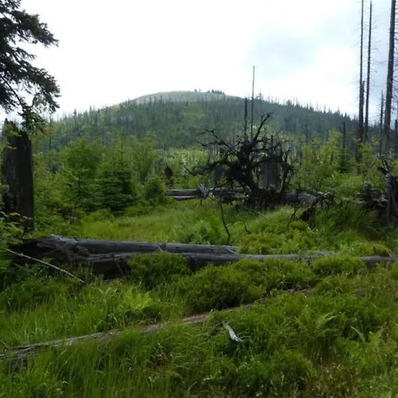 Wildfeuer By Interhome * Kirchdorf im Wald