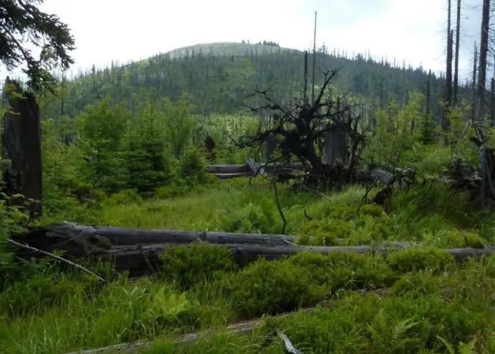 Wildfeuer By Interhome * Kirchdorf im Wald