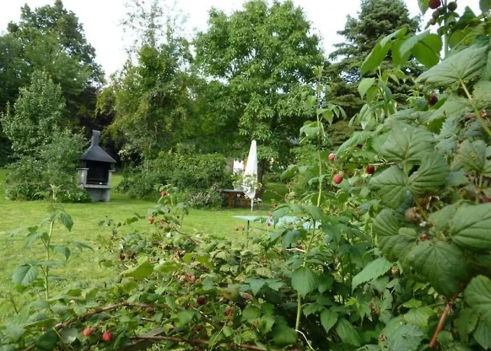 Wildfeuer By Interhome Kirchdorf im Wald