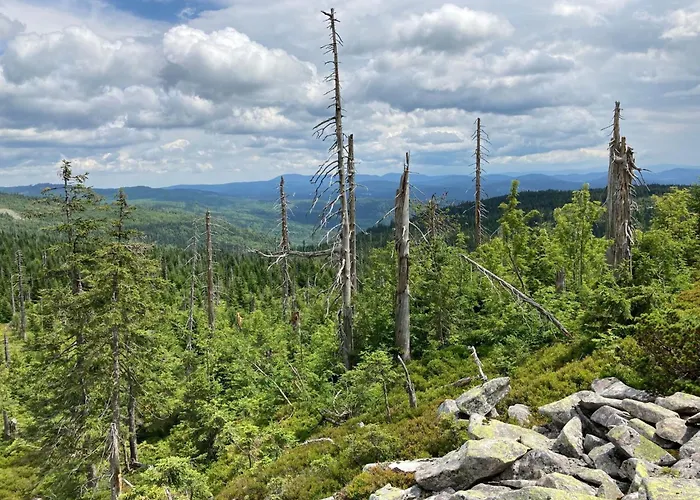 公寓 Wildfeuer By Interhome *